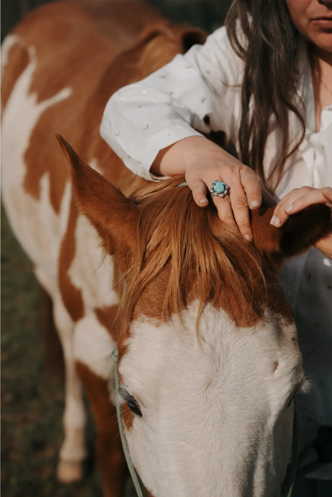 Connexion douce avec un cheval